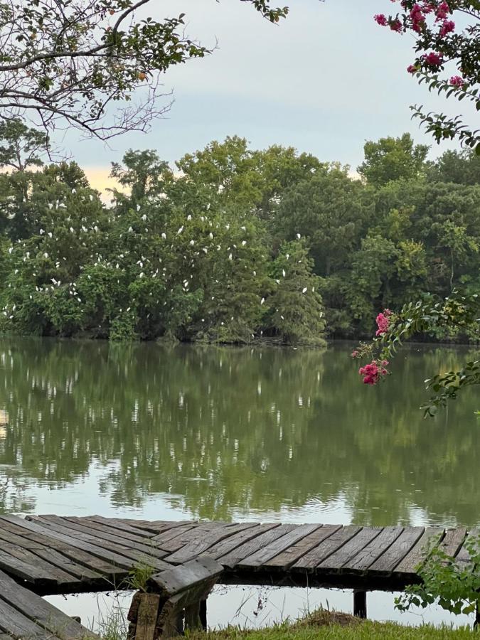 Kingwood Cottage - 10 Mins From Iah - Lake Front 亨博尔 外观 照片